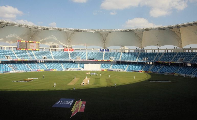 New Zealand defeats South Africa to win 2024 women’s T20 cricket world cup
