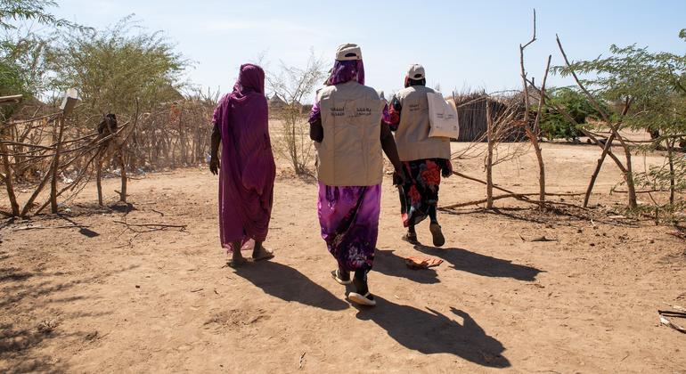 Sudan’s worsening famine: Conflict puts millions at risk