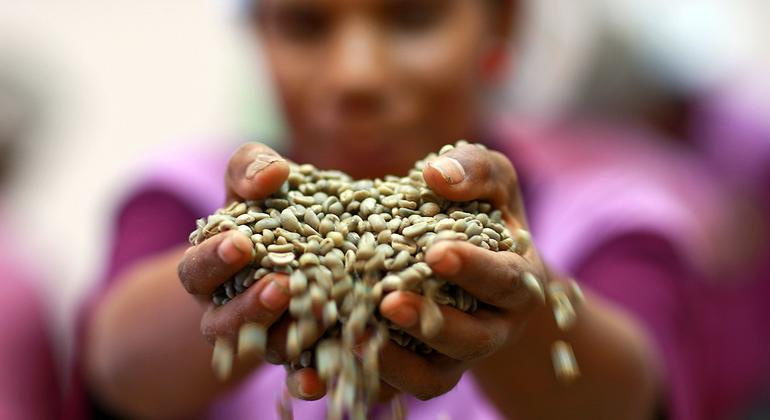 Coffee, tea and cocoa costs see global food import bill soaring past $2 trillion