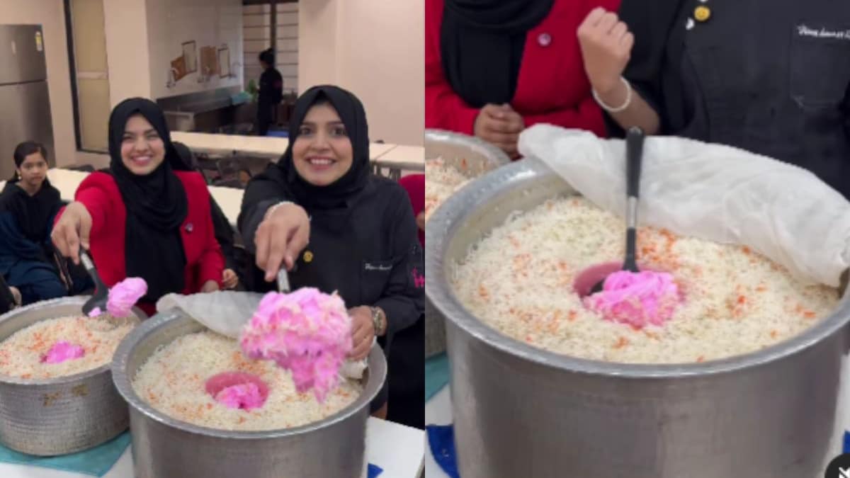 "Instagram Is Missing Dislike Button Here": Viral Video Of Ice Cream Biryani Sparks Online Fury
