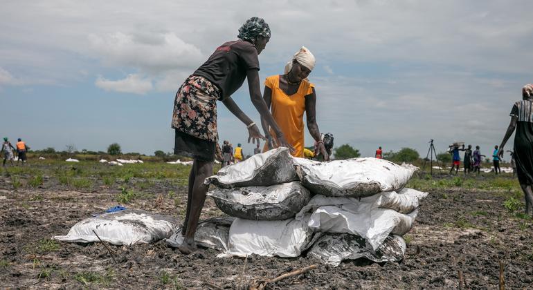 Hunger and cholera crises escalate in South Sudan, as needs surge
