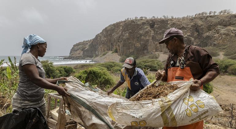 South-South cooperation can help solve ‘complex development context’