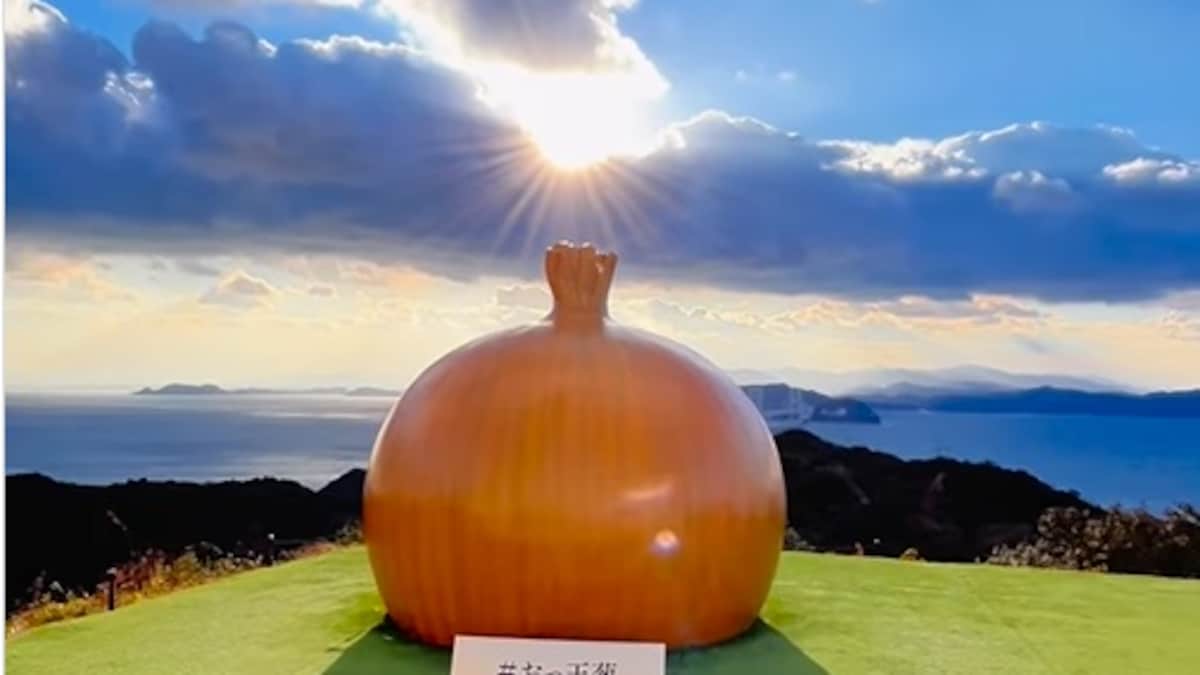 "Crazy, Funny And Unique": Internet Reacts To Viral Video Of Onion Island In Japan