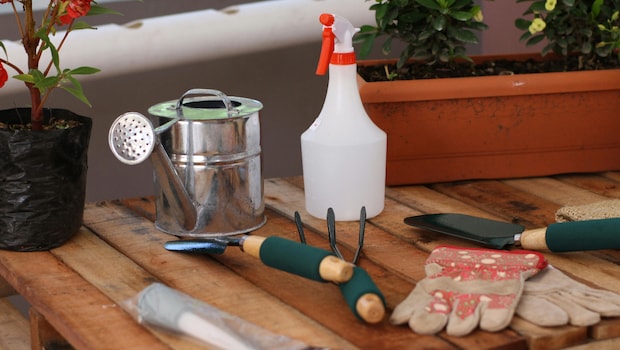 Amazons Top Deals On Gardening Tools