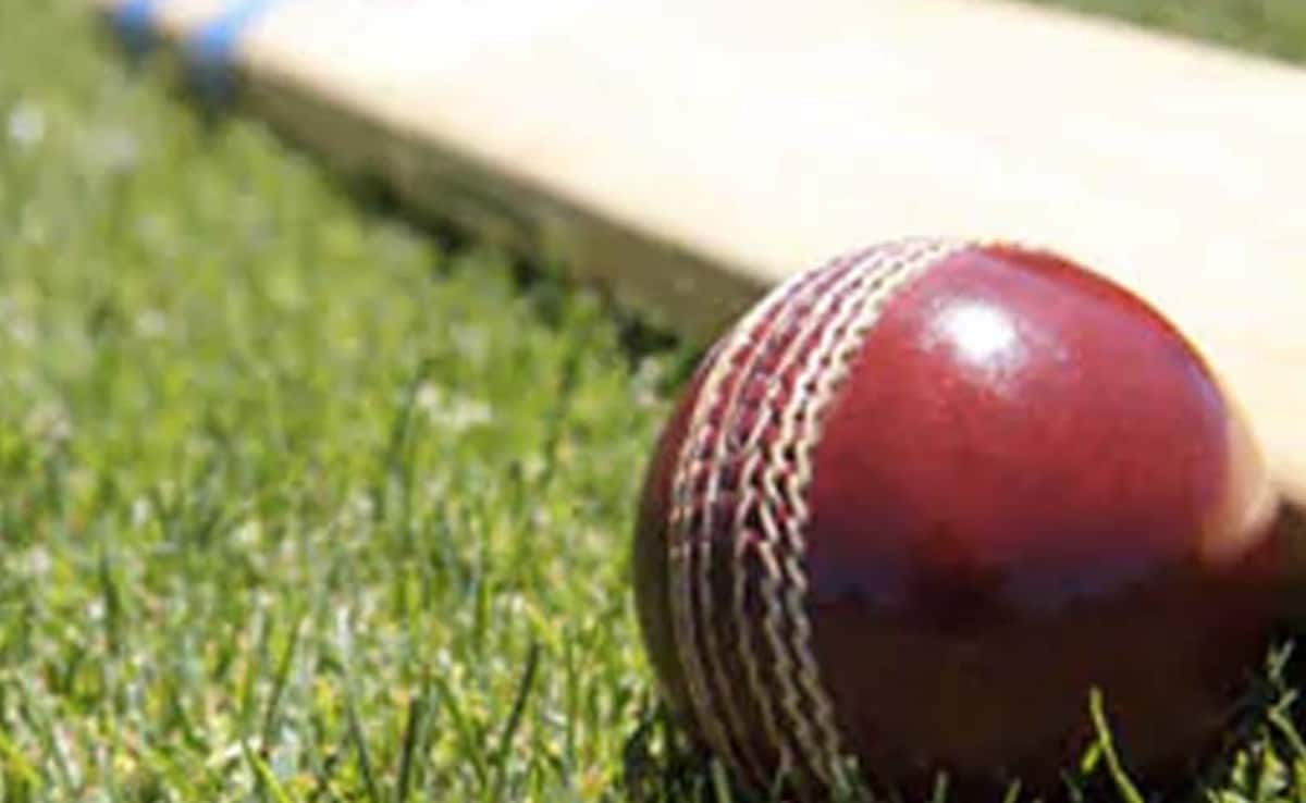 Afghanistan Women's XI To Play Historic Exhibition Match In Melbourne
