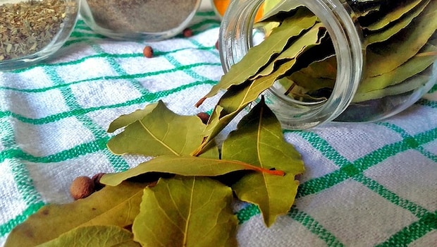 Bay Leaves