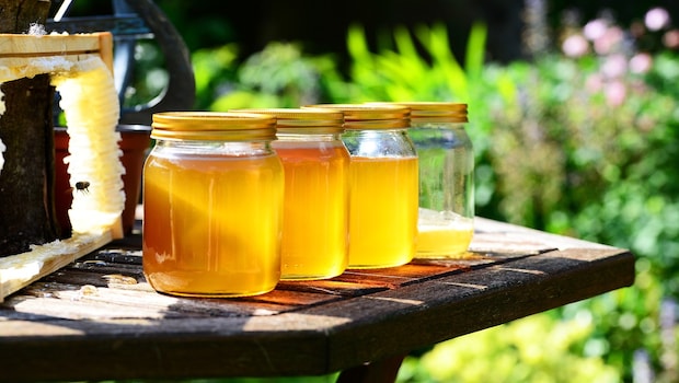 Ginger Wine mix stored in a Glass Jar