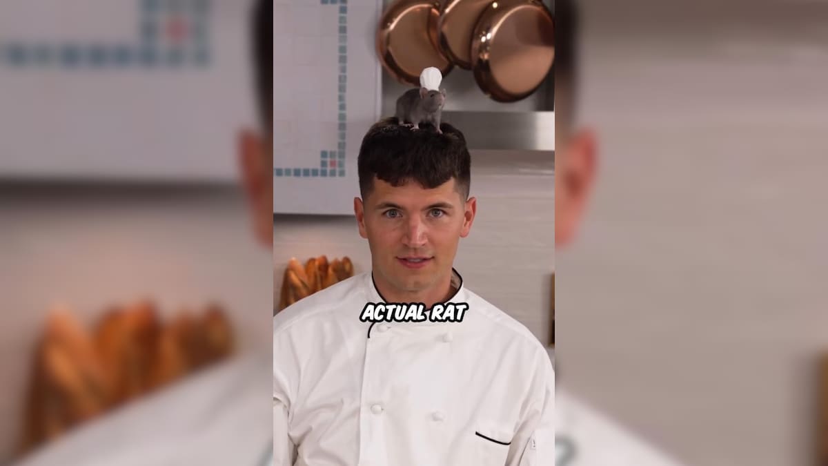 Watch: Popular Chef Trains Rat To Cook Ratatouille, Internet Is Amazed