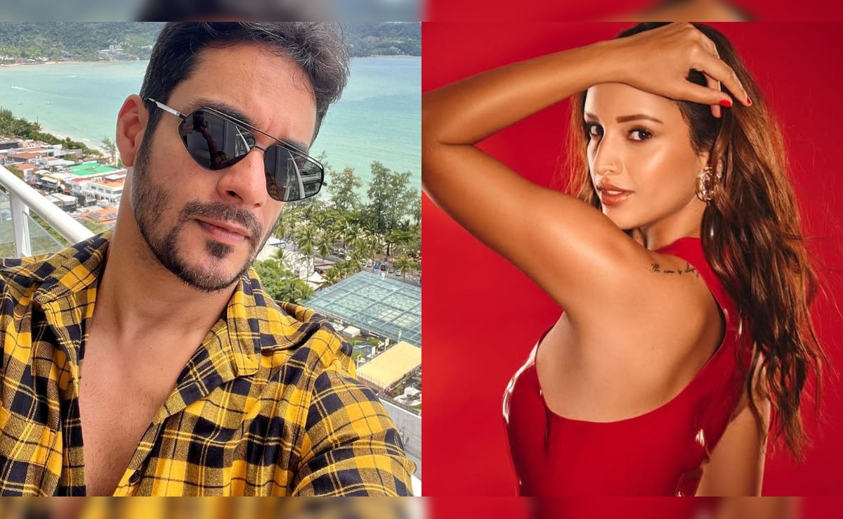 Triptii Dimri Sends “Love & Joy” To Rumoured Boyfriend Sam Merchant On His Birthday