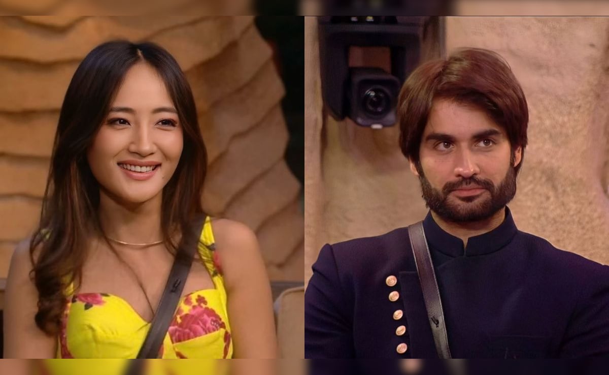 Chum Darang Suffers A Fall After Vivian Dsena's Aggressive Move