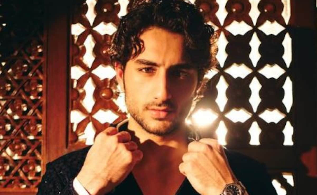 Ibrahim Ali Khan Resumes Shoot For Debut Movie Diler Today As Saif Ali Khan's Condition Stabilises