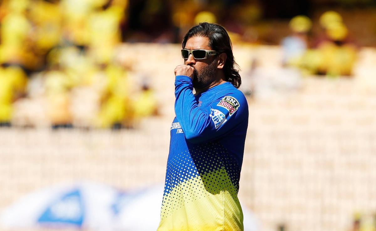 MS Dhoni Asked By Top BCCI Official About Contesting For Lok Sabha. His Reply Was...