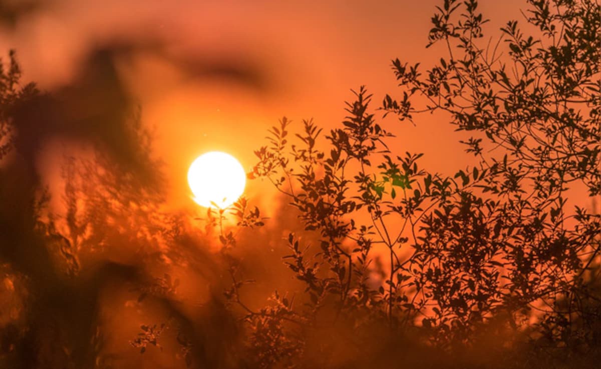 January 2025 Warmest On Record Globally: European Climate Agency