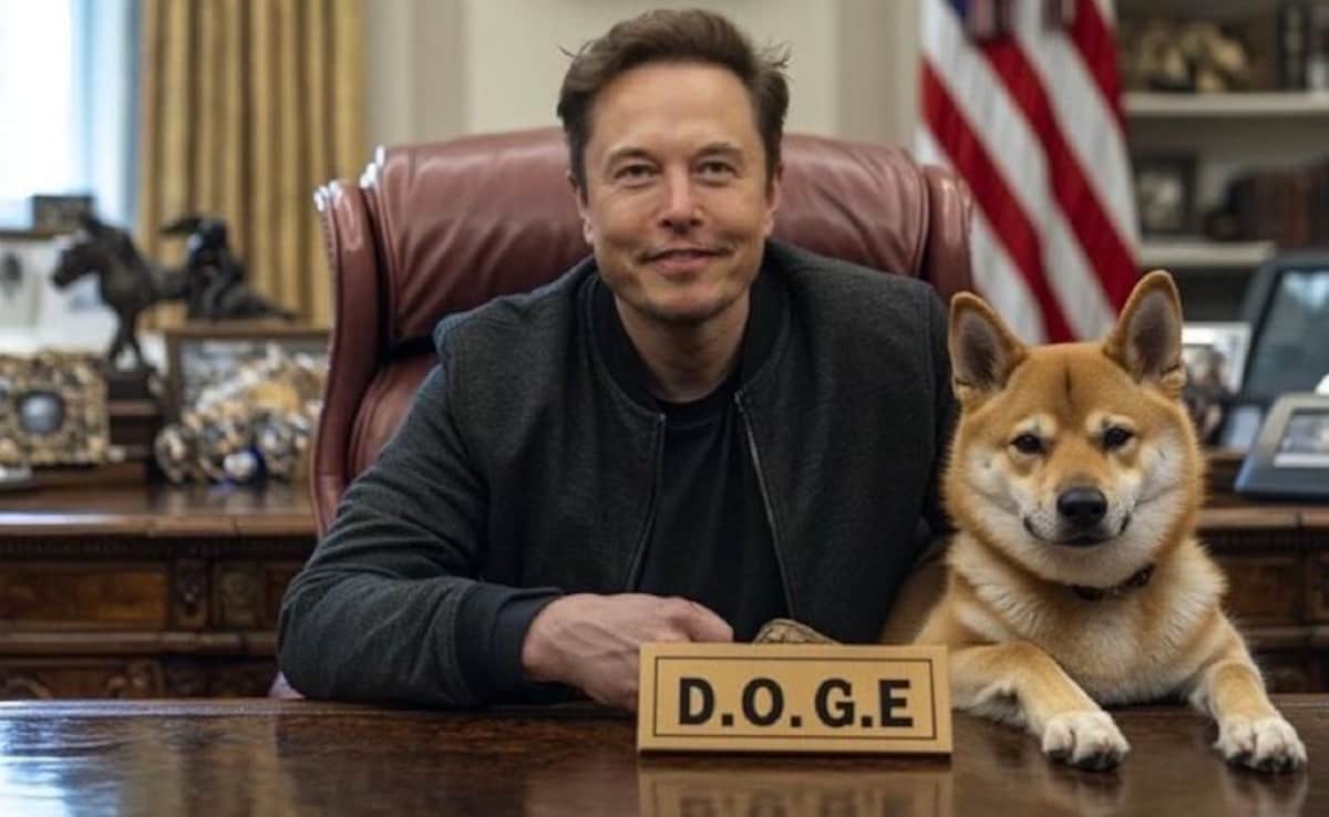 What Is Elon Musk's DOGE And Why It Has Americans Worried?