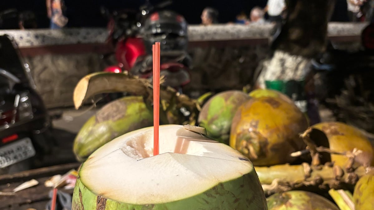 Viral: Coconut Sellers "Grounding Advice" To A Rushing Woman Wins Hearts Online