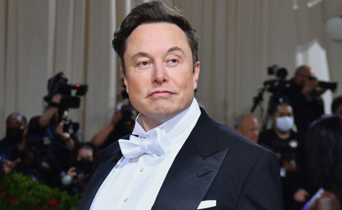 Elon Musk Slams Judge's Decision On Gender Ideology Web Pages