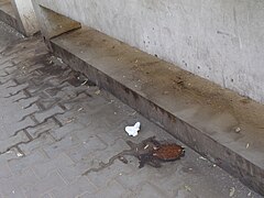 Back of the bus stop, city center, near the Opera metro station