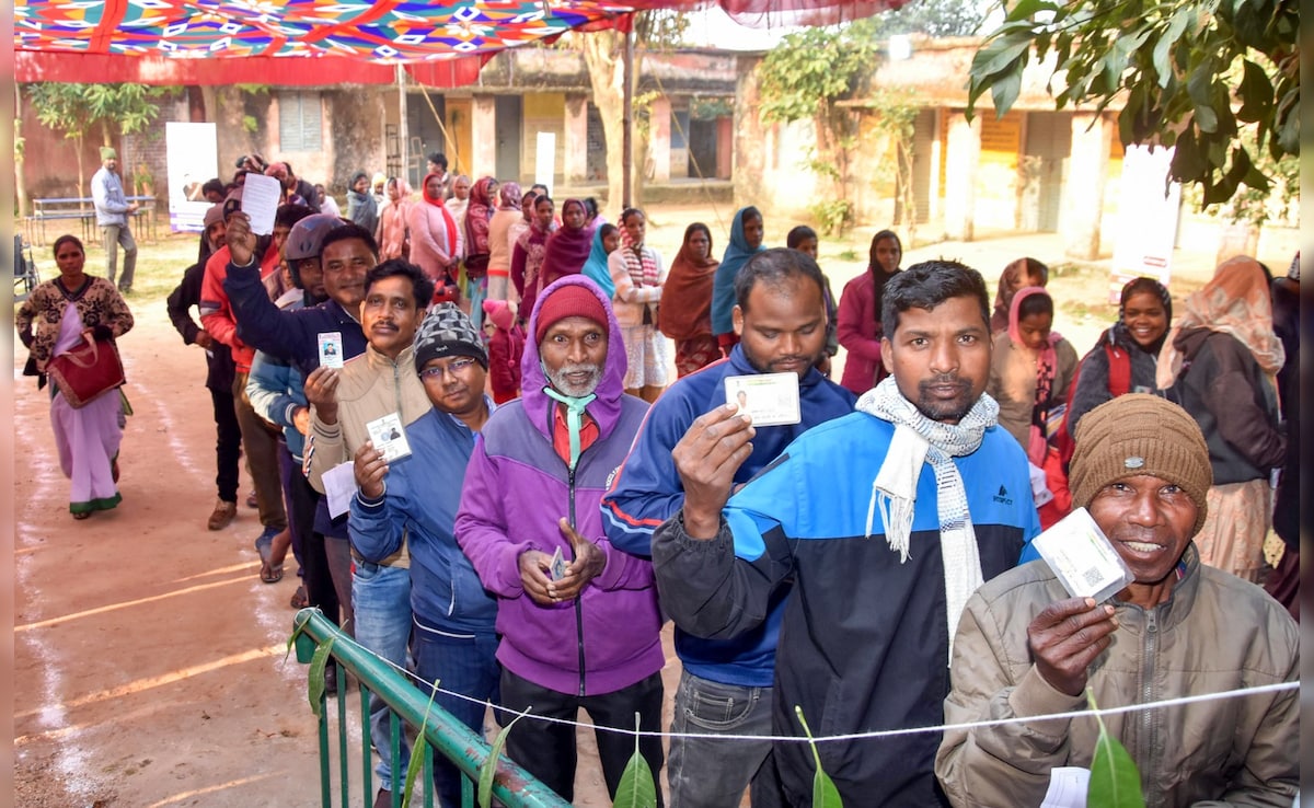 Elon Musk’s DOGE Flags $21 Million For “Voter Turnout In India”, BJP Responds