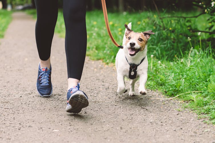 Woman running with dog in a park.