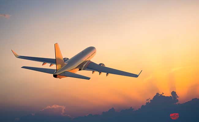 Couple's In-Flight Conversation Leads To Animal Trafficking Conviction