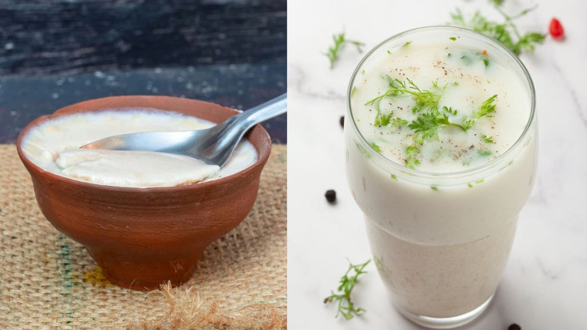 Curd Or Buttermilk: Which One Is Better For You? Expert Weighs In