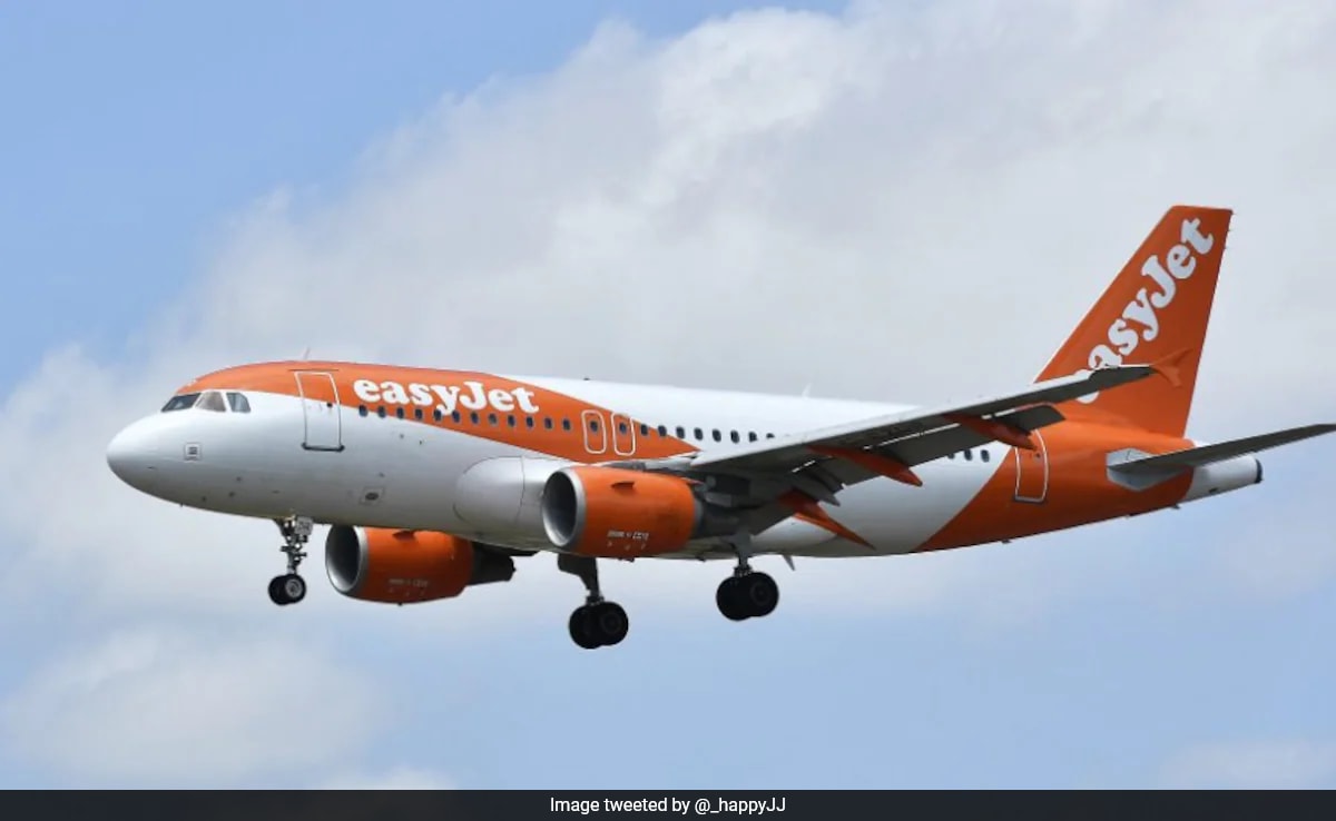 EasyJet Flight Forced To Make Emergency Landing After Pilot Collapses Mid-Flight