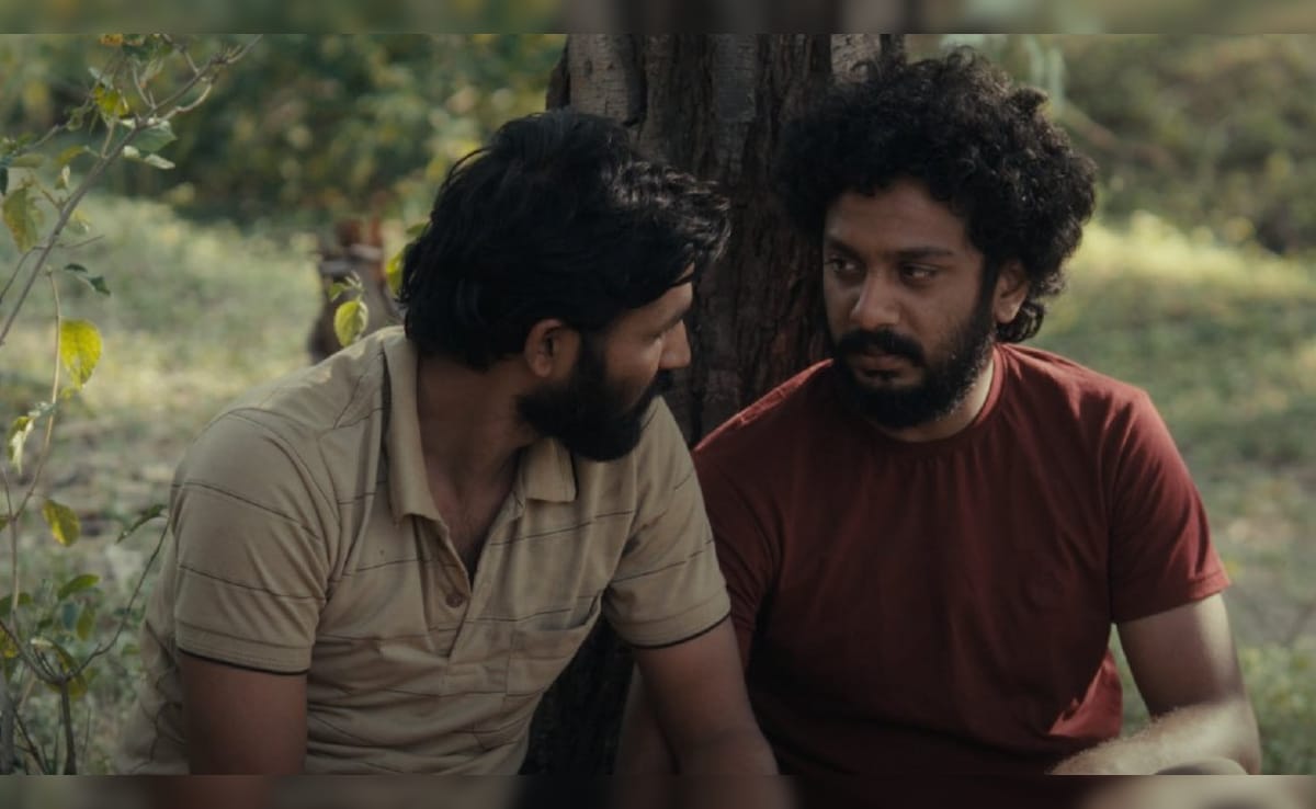 India's Marathi Feature Film Sabar Bonda Wins Grand Jury Prize