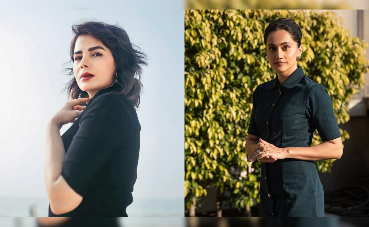 Kirti Kulhari On Feeling Sidelined During Pink Promotions: "Taapsee Pannu Became..."
