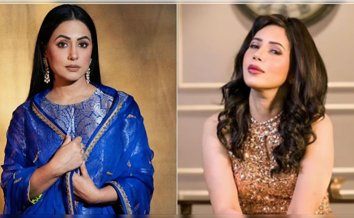 "Might Be Someone From Hina Khan's Family Or Friends"