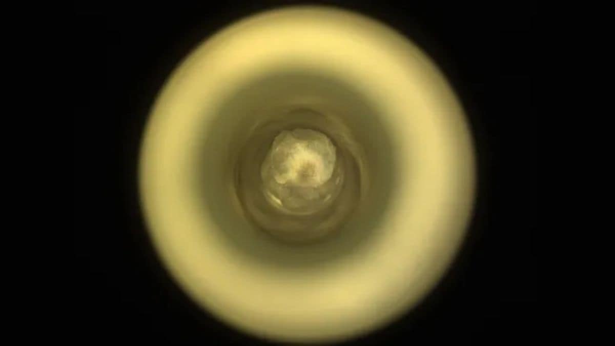 NASA Perseverance Rover Discovers Ancient Rock Sample on Mars