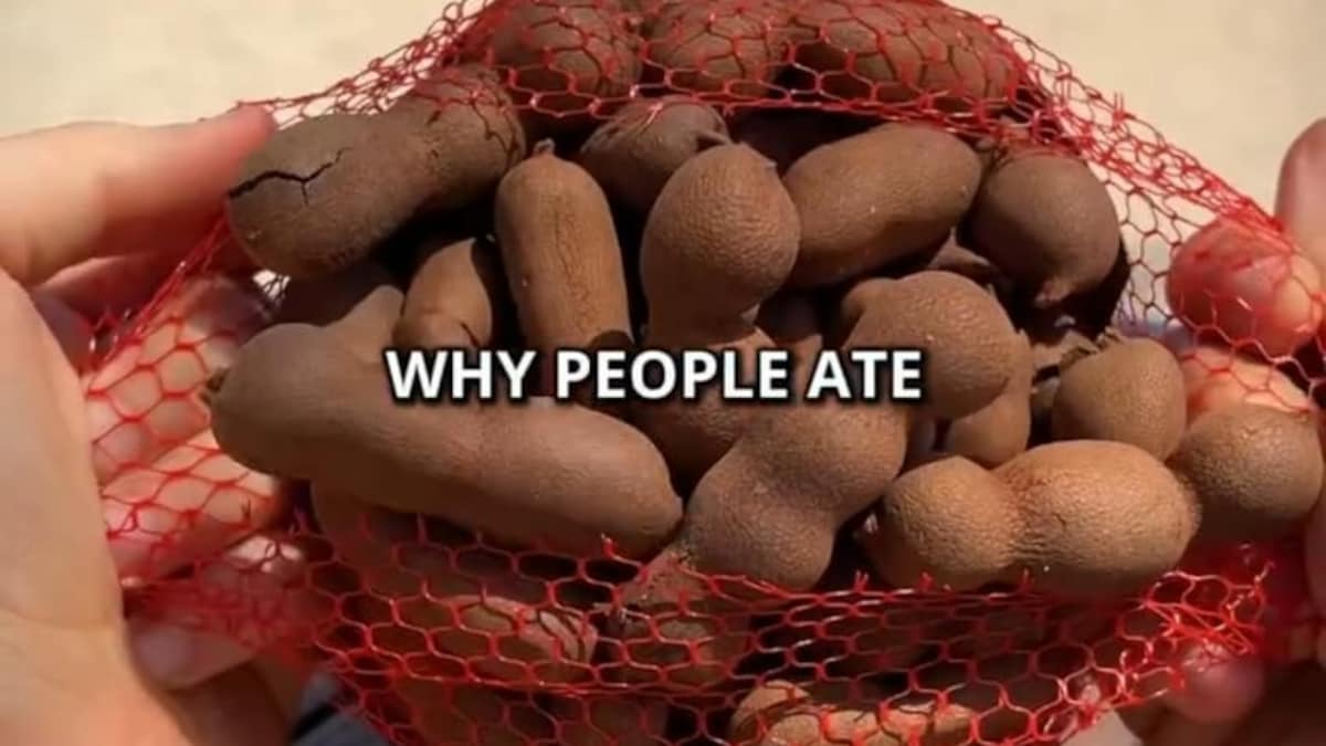 Vlogger Calls Tamarind Pods "Beans" With "Larvae" Inside, Desis Are Quick To Correct Her