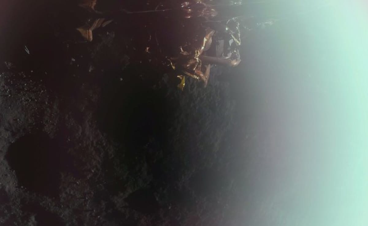 Blue Ghost's First Photo From Moon