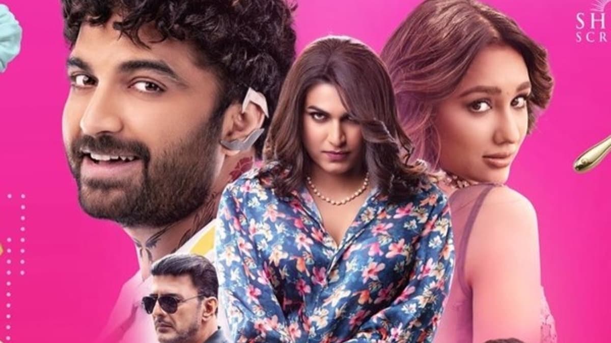 Laila OTT Release Date: When and Where to Watch Vishwak Sen’s Film Online