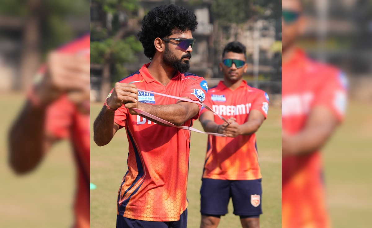 "Used To Watch Ricky Ponting's Batting Videos": Punjab Kings' New Recruit Pyla Avinash