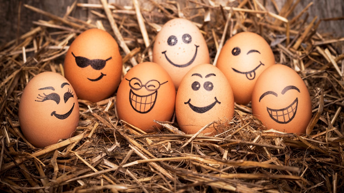 What Your Preferred Style Of Eggs Say About Your Personality