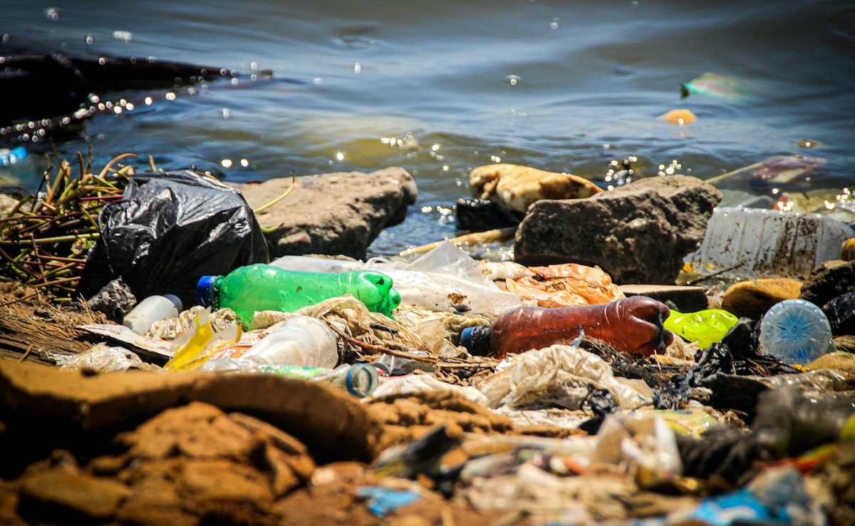 Garbage Reaches Mediterranean’s Deepest Point At 16,770 Feet