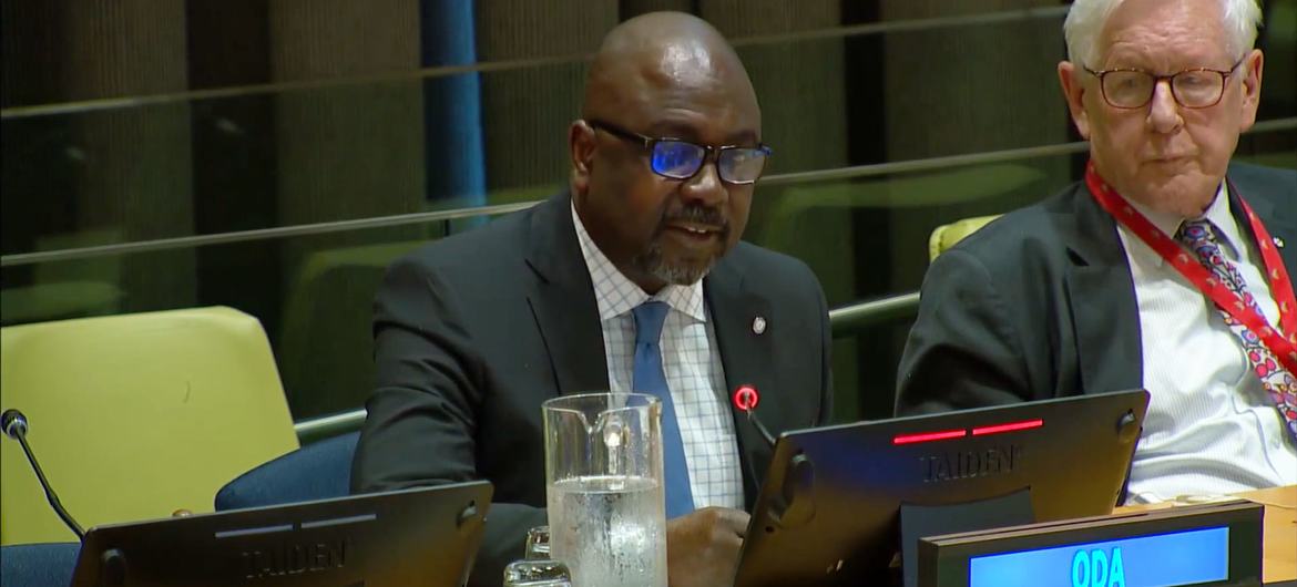 Adedeji Ebo, Director and Deputy to the UN High Representative for Disarmament Affairs, addresses a joint meeting on small arms and light weapons control for preventing violence and advancing sustainable development. Adedeji Ebo, Director and Deputy to the UN High Representative for Disarmament Affairs, addresses a joint meeting on small arms and light weapons control for preventing violence and advancing sustainable development.