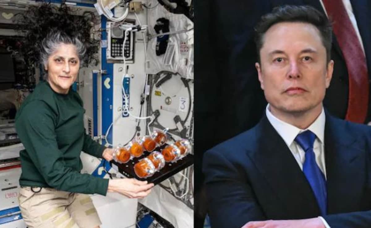 What Elon Musk Said About Sunita Williams' Return After 9-Month Space Stay