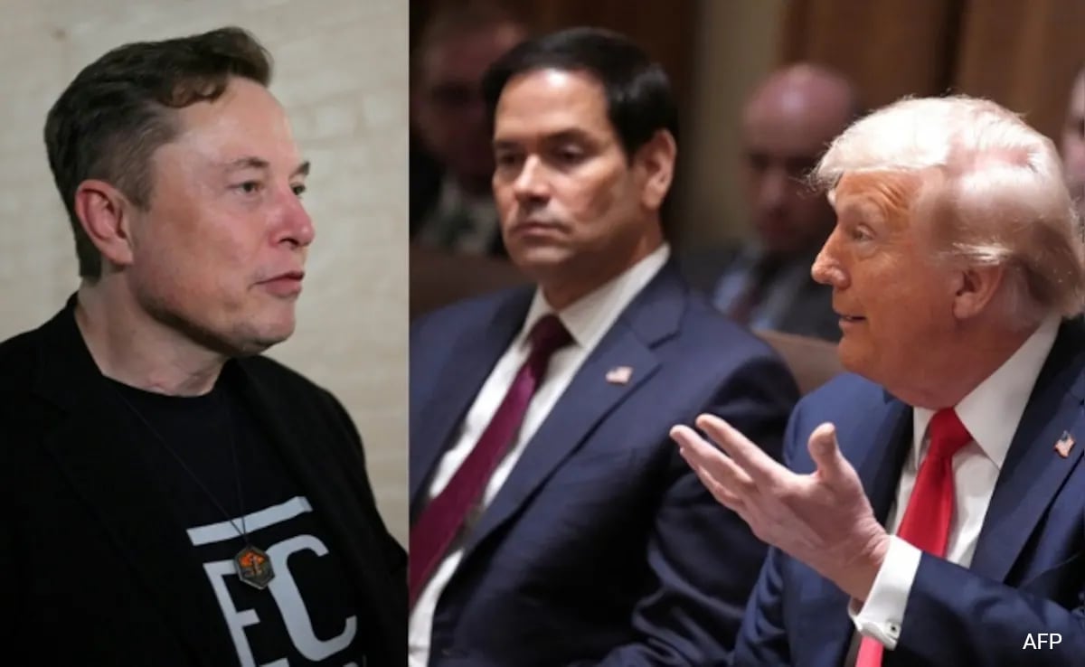 Donald Trump Denies Elon Musk-Marco Rubio Clash