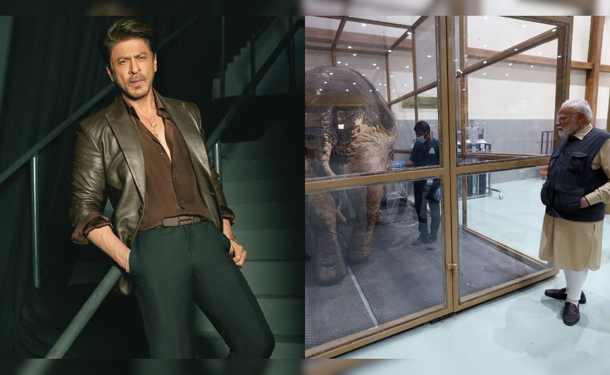 Shah Rukh Khan Celebrates PM Modi's Visit To Gujarat Wildlife Rescue Centre: "Animals Deserve Love"