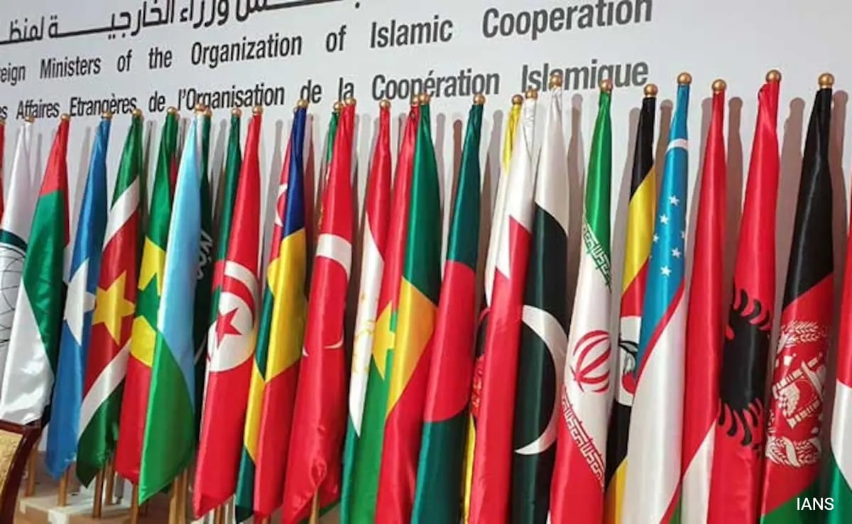 Syria's Membership In Islamic Group Reinstated
