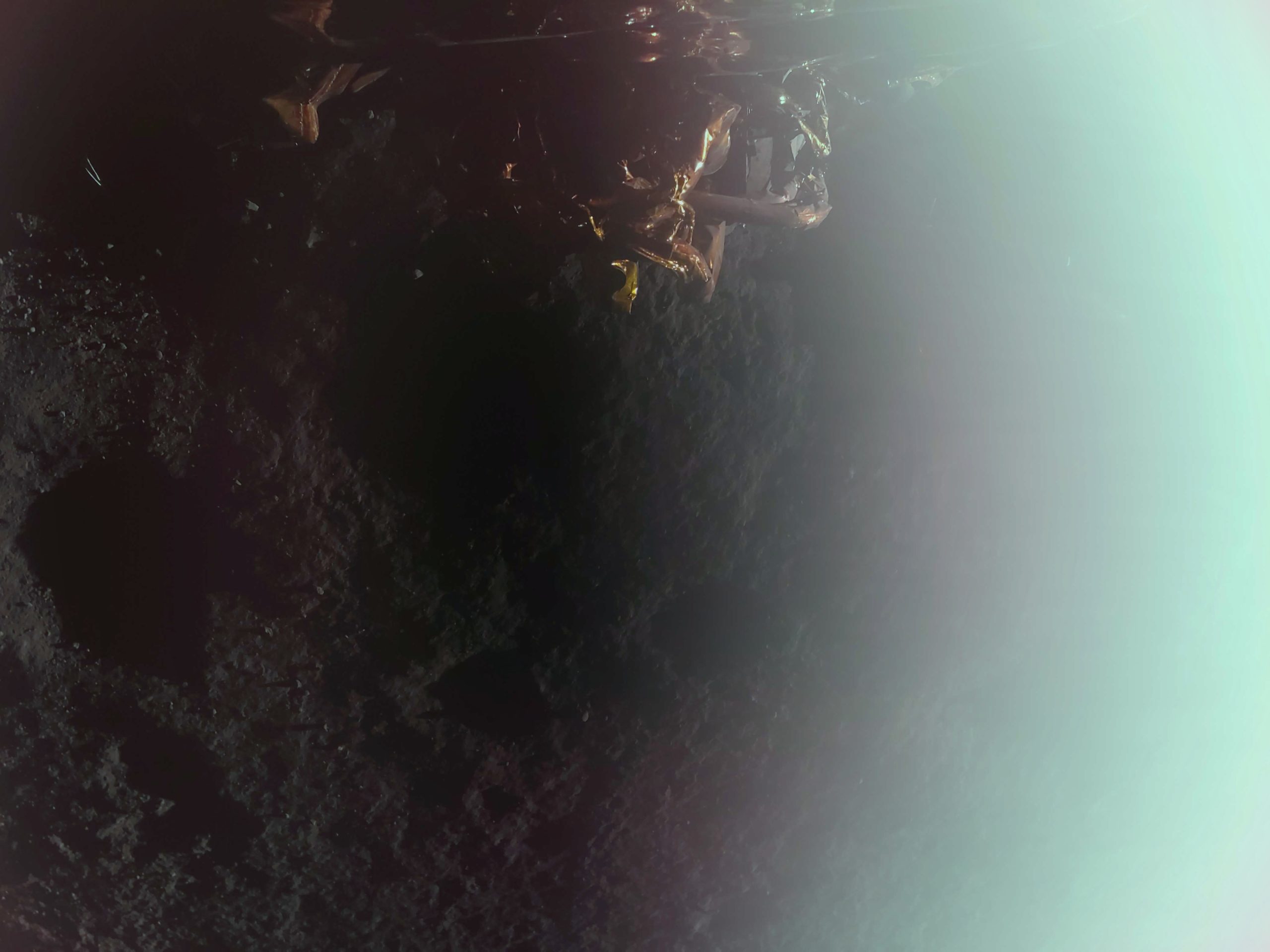 First image captured by Firefly's Blue Ghost lunar lander, taken shortly after confirmation of a successful landing at Mare Crisium on the Moon's near side. This is the second lunar delivery of NASA science and tech instruments as part of the agency's Commercial Lunar Payload Services initiative.