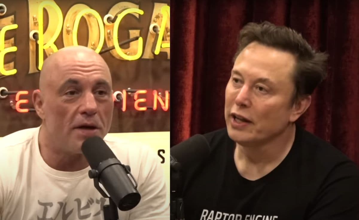 US-Funded NGOs May Be "Biggest Scam Ever": Elon Musk's Big Charge