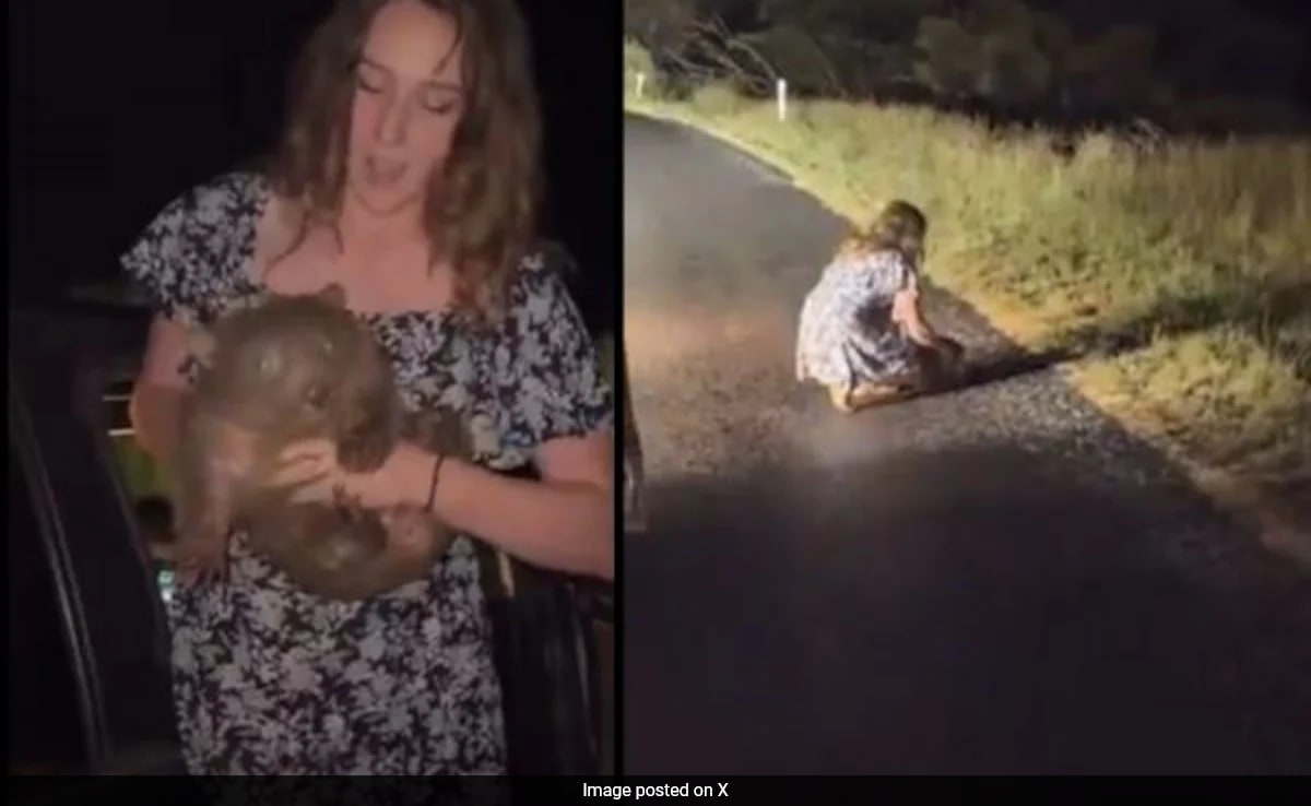 US Influencer Leaves Australia After Outrage Over Baby Wombat Video