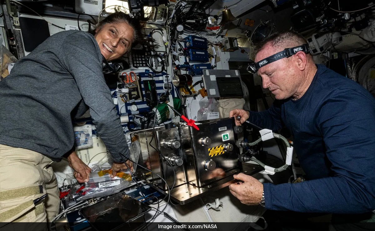 What Sunita Williams, Butch Wilmore Ate During Their Time In Space