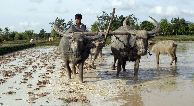 Landless and locked out: Young farmers struggle for a future