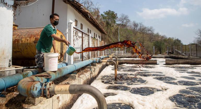 Faith in finance: Indonesia’s innovative path to sustainable development