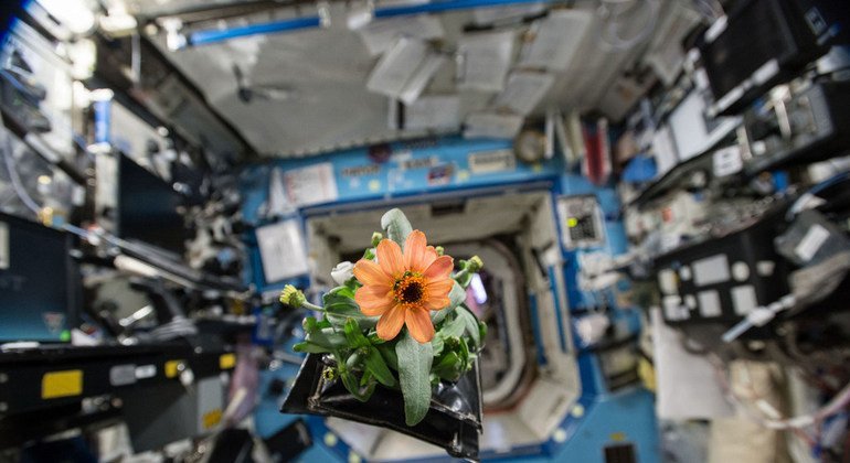 Space is not the final frontier – it is the foundation of our future: UN deputy chief