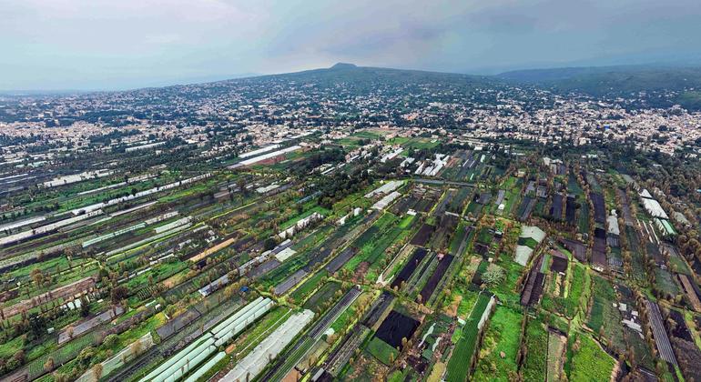 The ‘chinamperos’ have provided Mexico City with food for generations. Do they have a future?