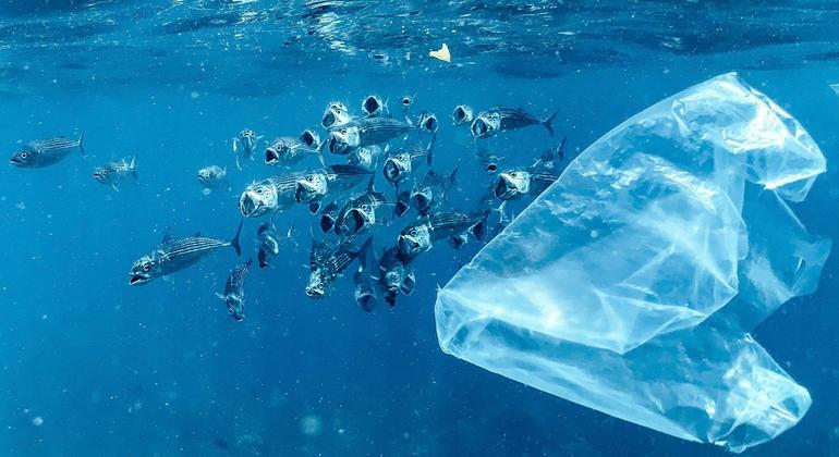Global push to end plastic pollution gains ground in Nice